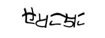 認証画像